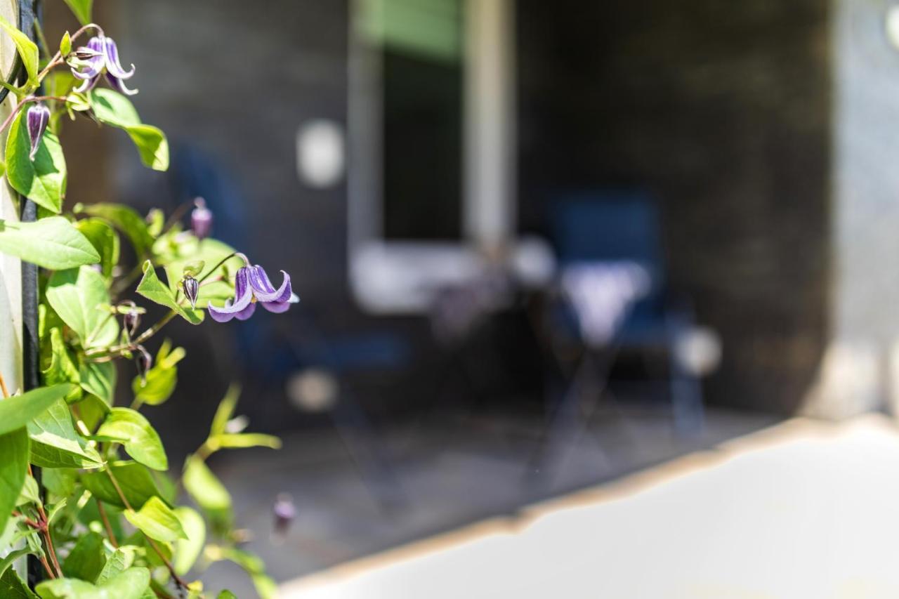 Ferienwohnung Moselpanorama Traben-Trarbach Εξωτερικό φωτογραφία